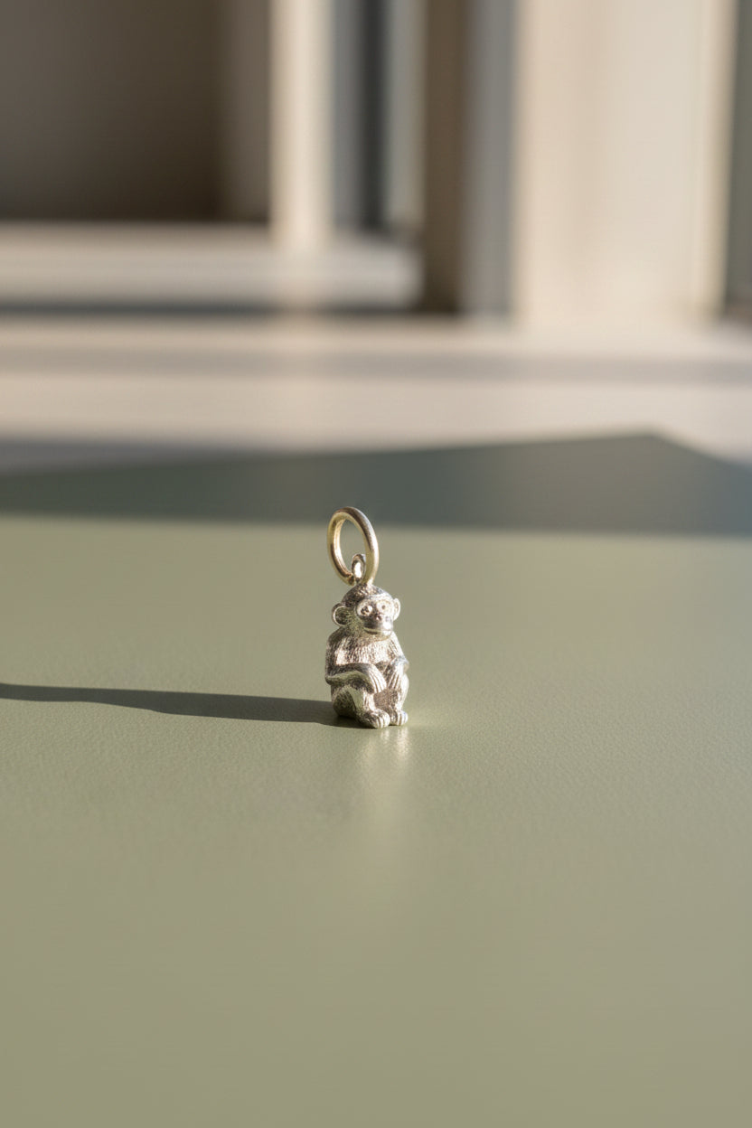 Small silver charm shaped like a Monkey on a background